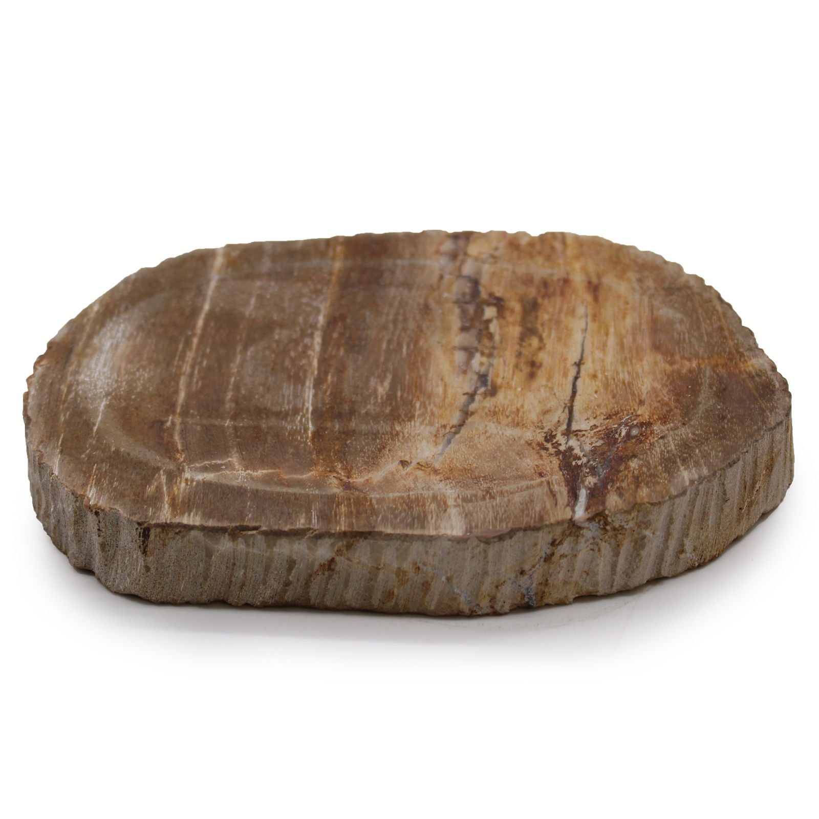 Versteend Hout Zeepschaaltje Bruin